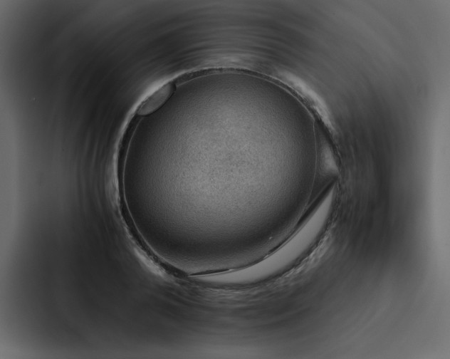 X0000088230792200705151452