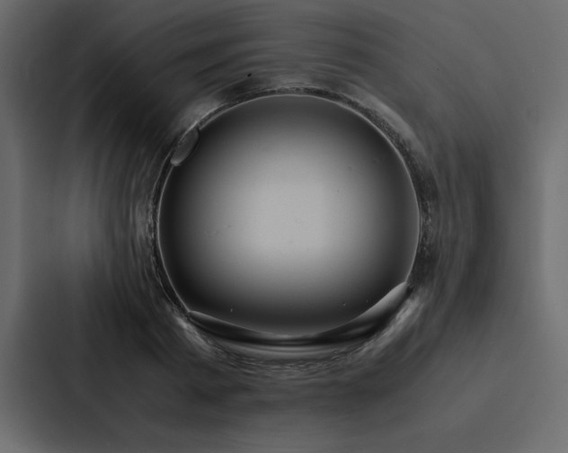 X0000088230793200705151452