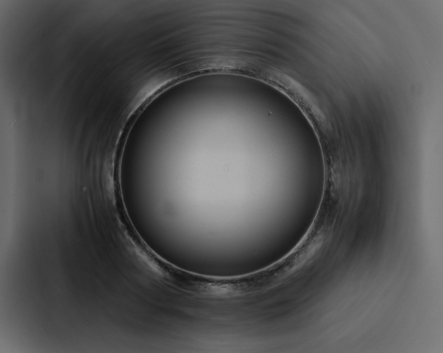 X0000088230794200705151452
