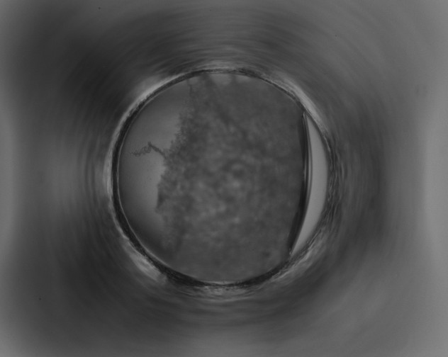 X0000088230795200705151452