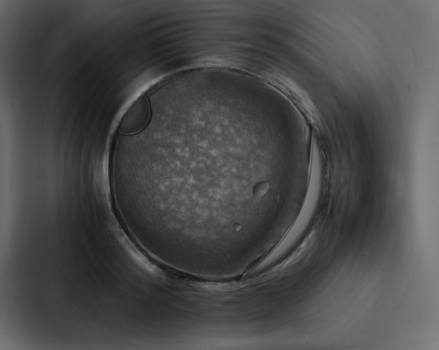 X0000088230796200705151452