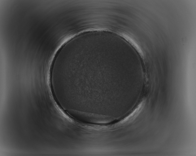 X0000088230797200705151452