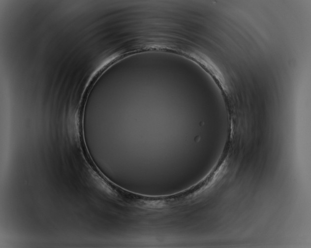 X0000088230798200705151452