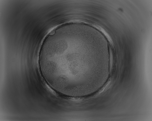 X0000088230799200705151452