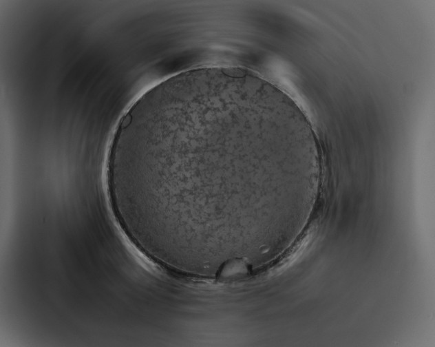 X0000088230803200705151451