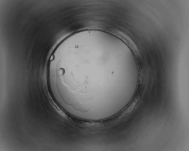 X0000088230804200705151451