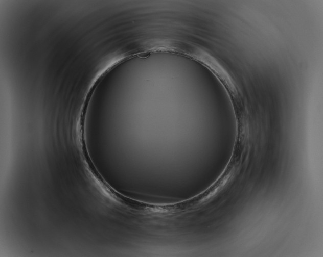 X0000088230806200705151451