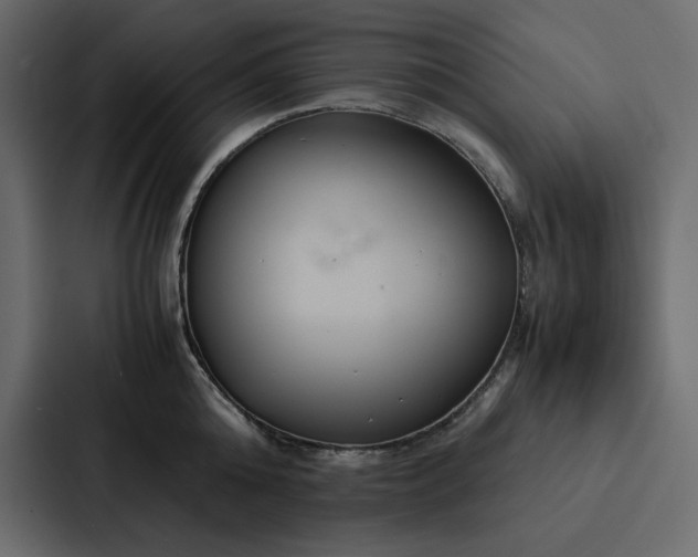 X0000088230808200705151451