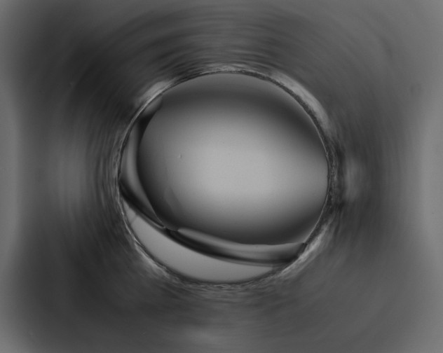 X0000088230809200705151451