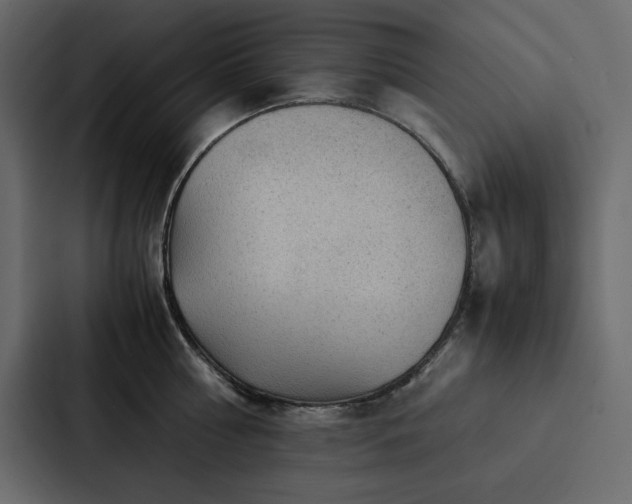 X0000088230810200705151451