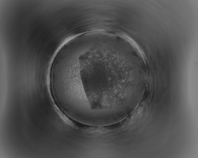 X0000088230811200705151451