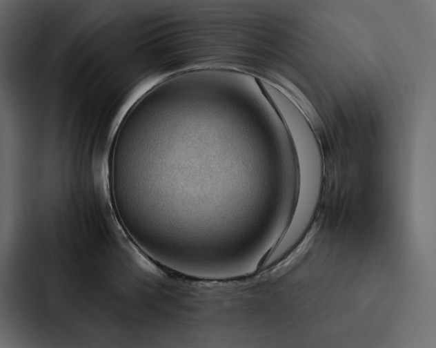 X0000088230812200705151451