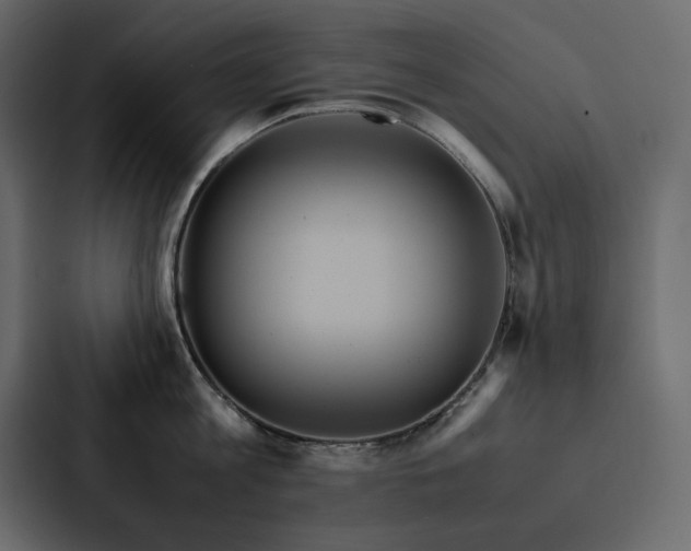 X0000088230813200705151451