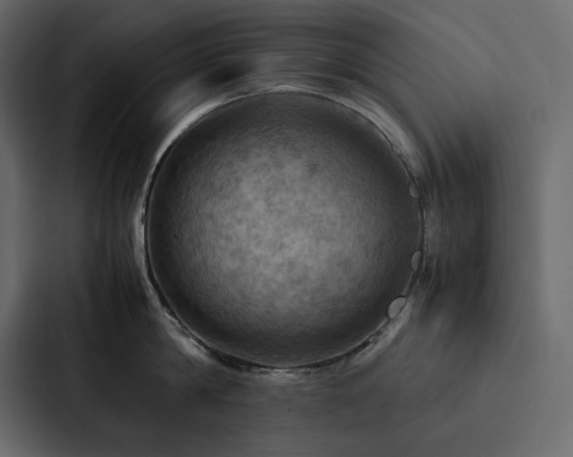 X0000088230814200705151451