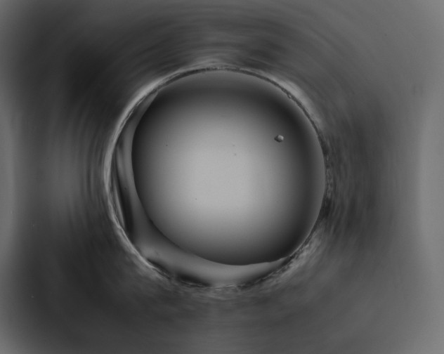 X0000088230815200705151451