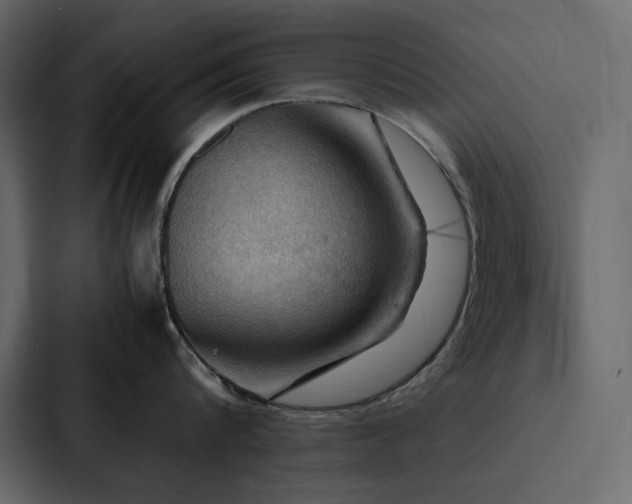X0000088230816200705151451