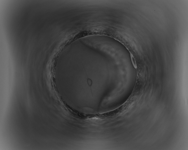 X0000088230817200705151451