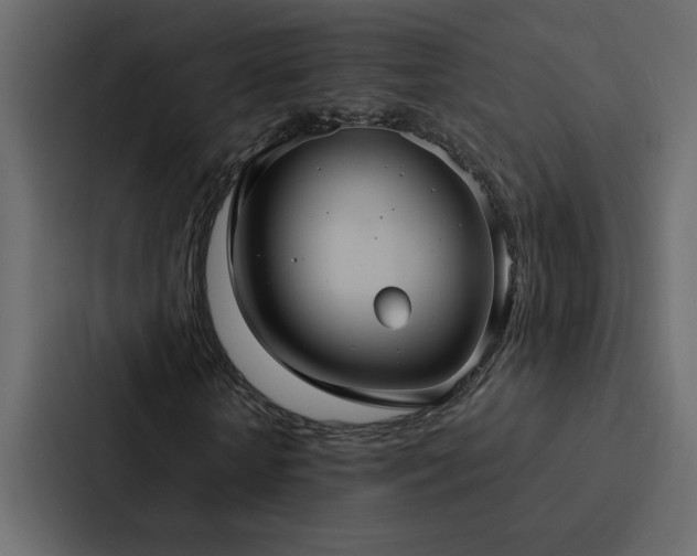 X0000088230818200705151451