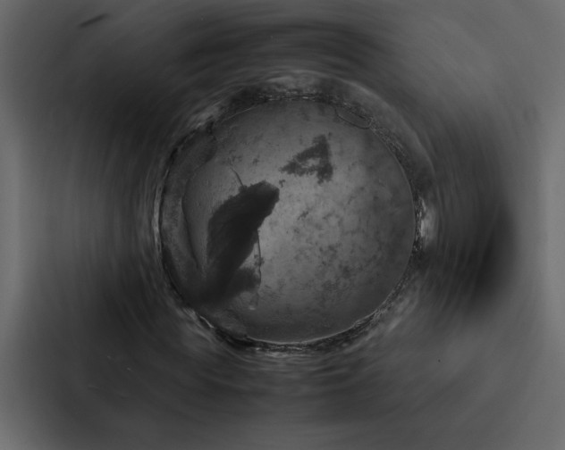 X0000088230819200705151451