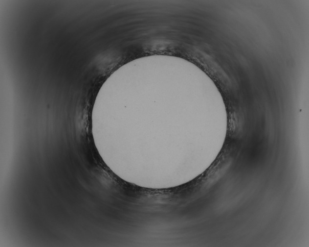 X0000088230820200705151451