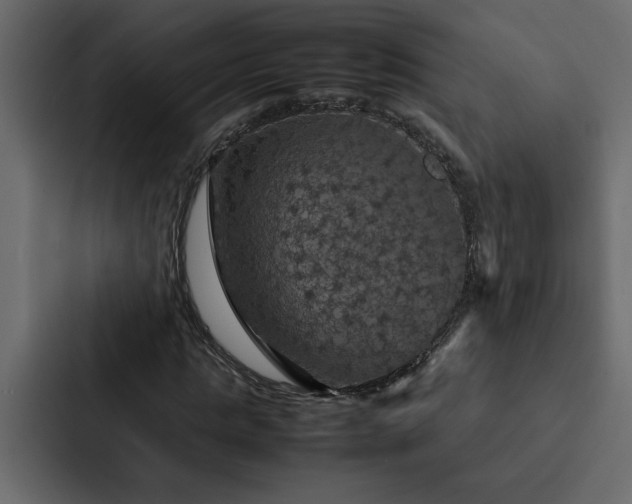 X0000088230821200705151451