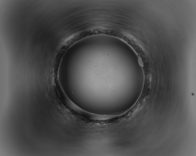 X0000088230822200705151451