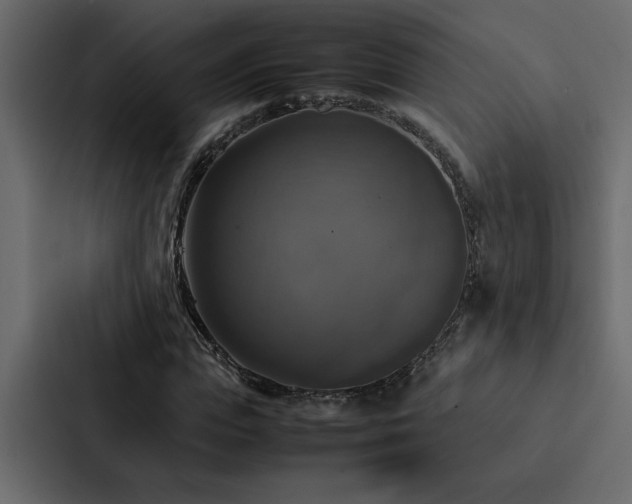 X0000088230823200705151451