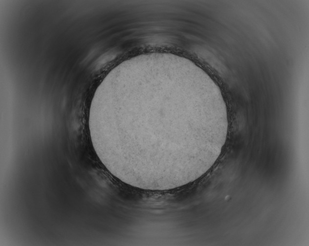 X0000088230824200705151451