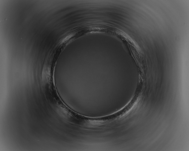 X0000088230825200705151451