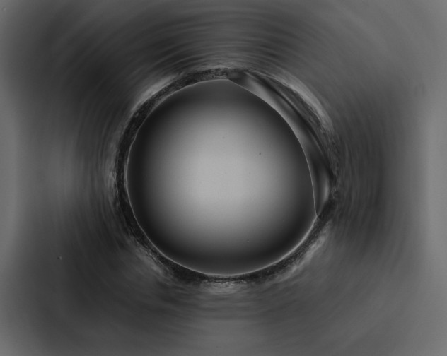 X0000088230826200705151451