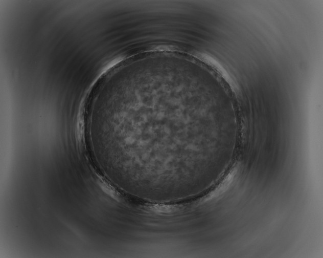 X0000088230827200705151451