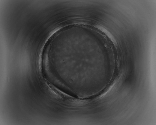 X0000088230829200705151451