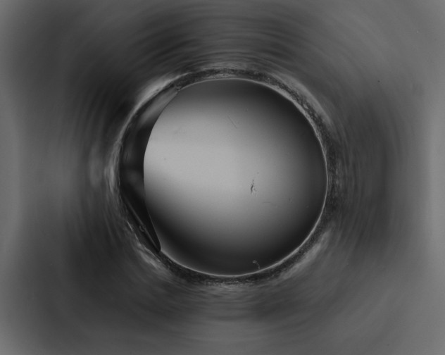 X0000088230830200705151451