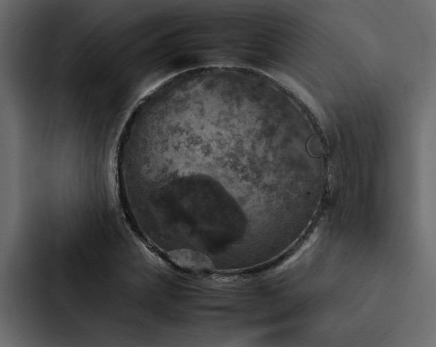 X0000088230831200705151451