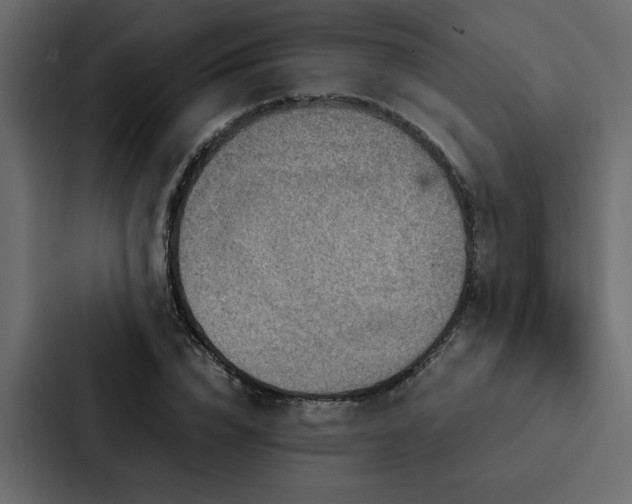 X0000088230832200705151451