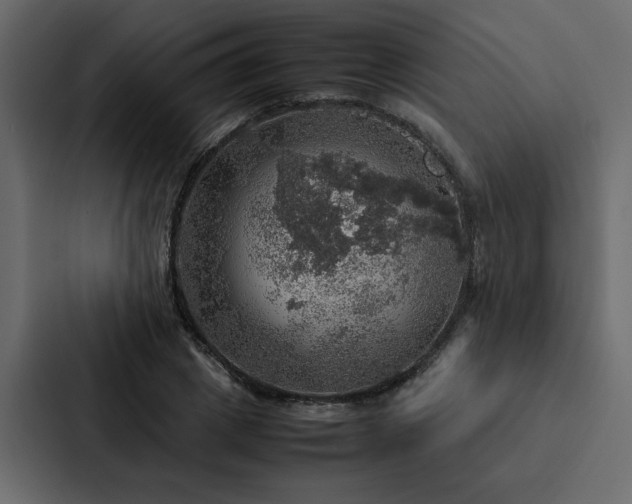 X0000088230833200705151451