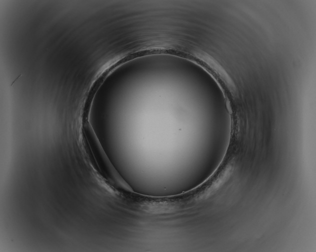 X0000088230834200705151451