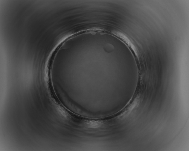 X0000088230835200705151451