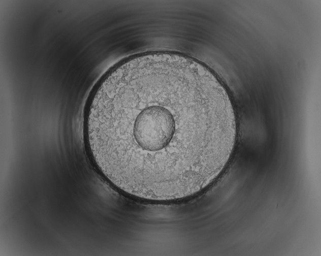 X0000088230836200705151451