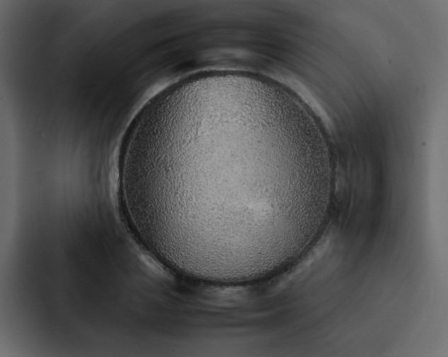 X0000088230837200705151451