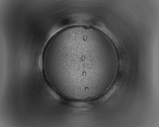 X0000088230838200705151451