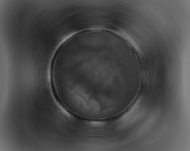 X0000088230839200705151451