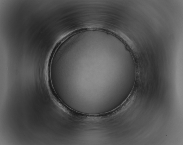 X0000088230840200705151451