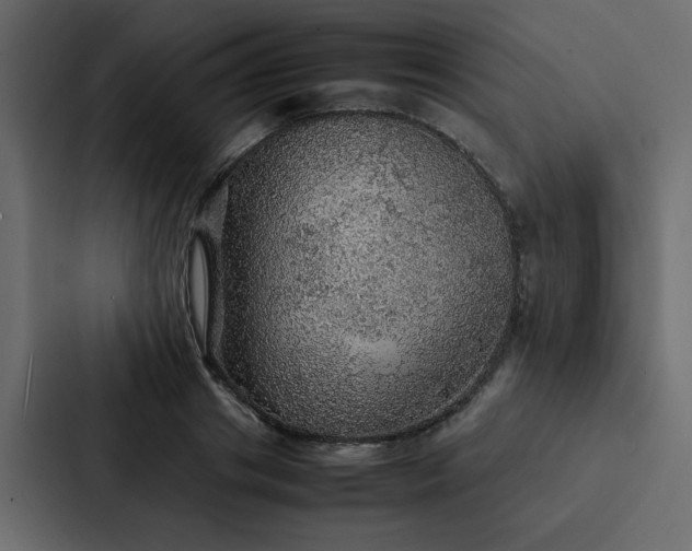 X0000088230841200705151451