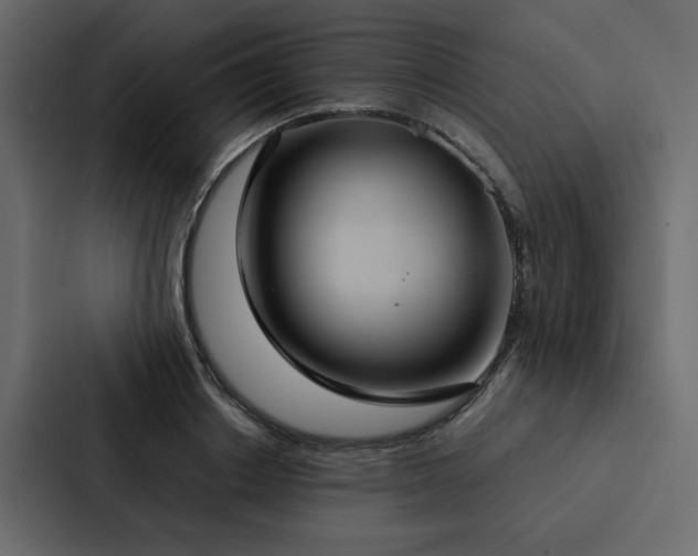 X0000088230842200705151451
