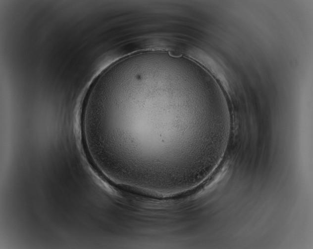 X0000088230843200705151451