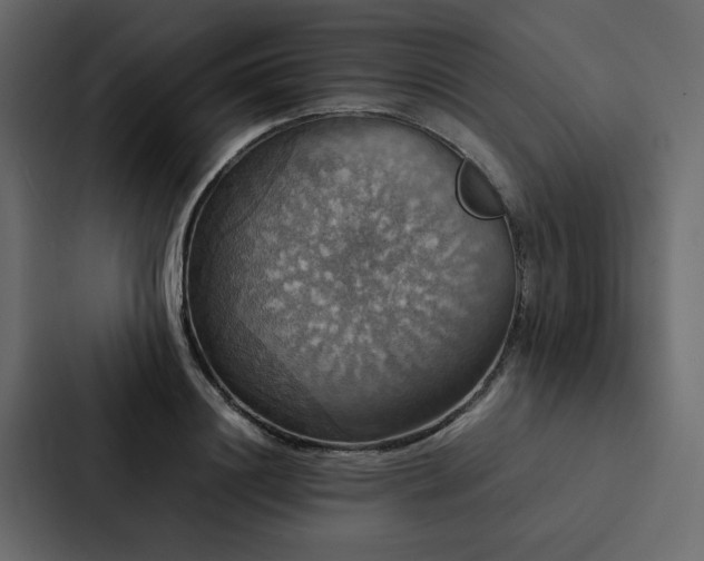 X0000088230844200705151451