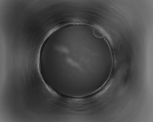 X0000088230845200705151451