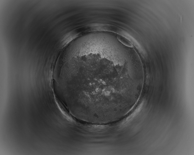 X0000088230849200705151451