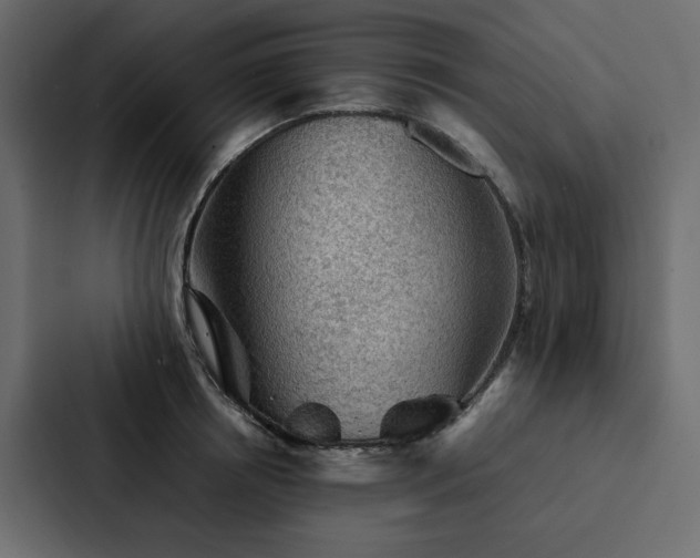 X0000088230850200705151451